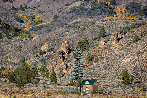 Early Autumn Color, Sonora Pass, CA